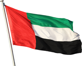 UAE AED DUBAI TRANSFER